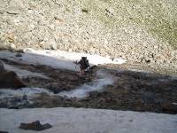 Youri - Ecrins 2005 236